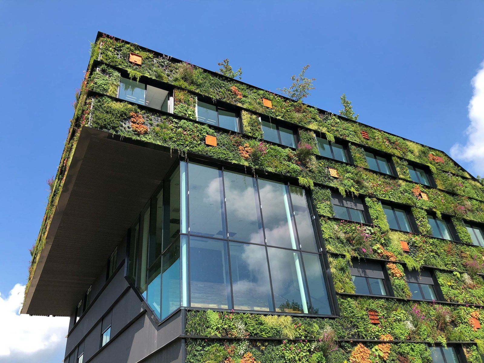 Sustainable Construction: Building for a Greener Future